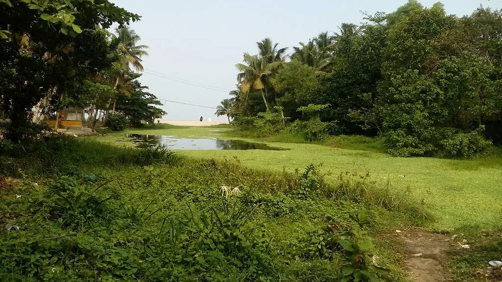 Bed and breakfast Marari Umapathi Beach Villa Mararikulam