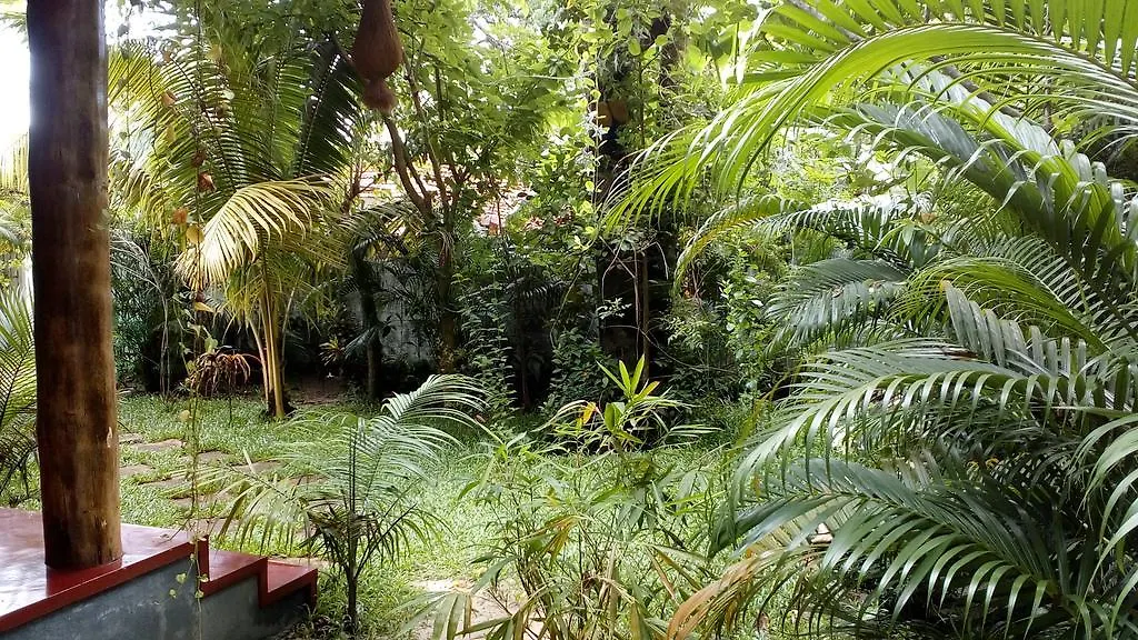 Marari Umapathi Beach Villa Mararikulam